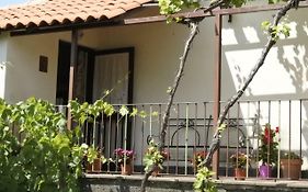 Casa Vacanza Etna Evergreen