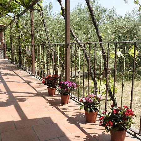 Villa Casa Vacanza Etna Evergreen à Piedimonte Etneo Extérieur photo