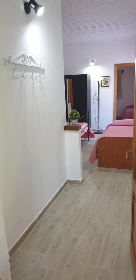 Villa Casa Vacanza Etna Evergreen à Piedimonte Etneo Extérieur photo