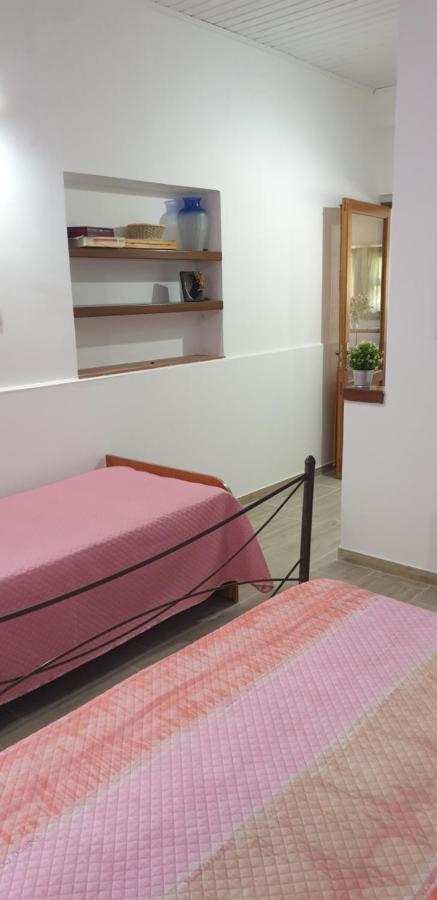 Villa Casa Vacanza Etna Evergreen à Piedimonte Etneo Extérieur photo