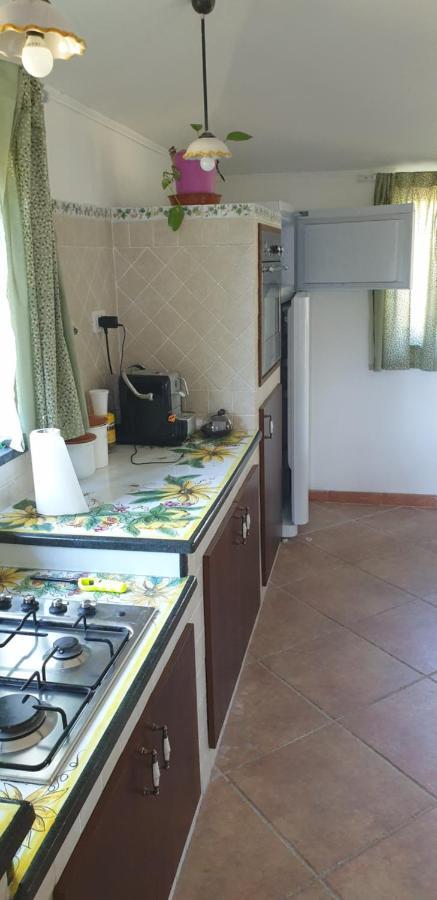 Villa Casa Vacanza Etna Evergreen à Piedimonte Etneo Extérieur photo
