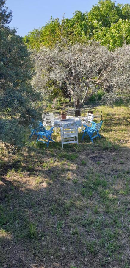 Villa Casa Vacanza Etna Evergreen à Piedimonte Etneo Extérieur photo