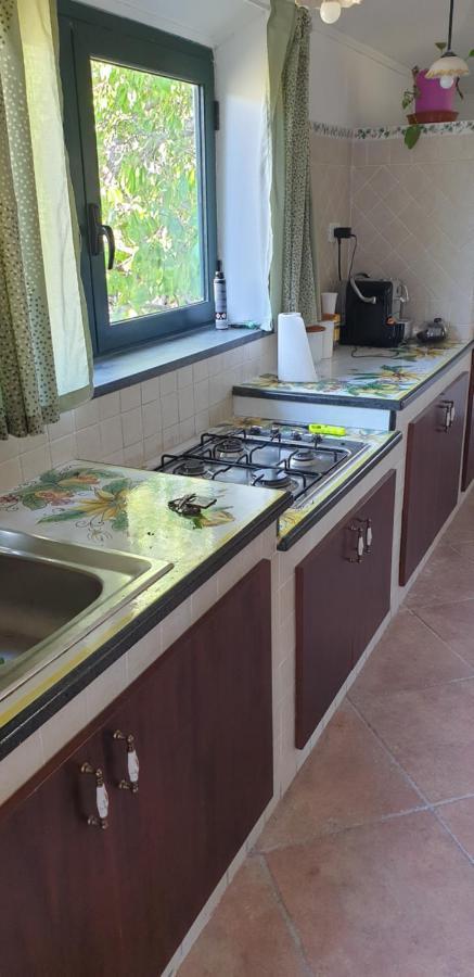 Villa Casa Vacanza Etna Evergreen à Piedimonte Etneo Extérieur photo