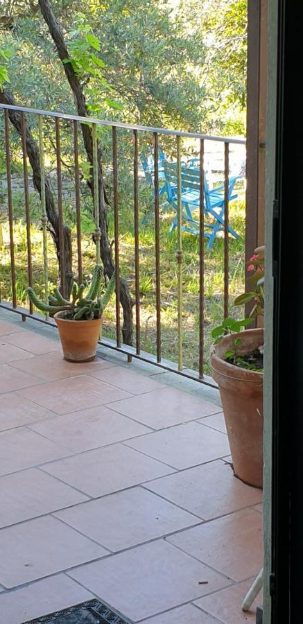 Villa Casa Vacanza Etna Evergreen à Piedimonte Etneo Extérieur photo