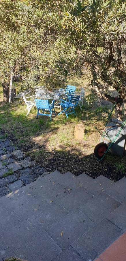 Villa Casa Vacanza Etna Evergreen à Piedimonte Etneo Extérieur photo