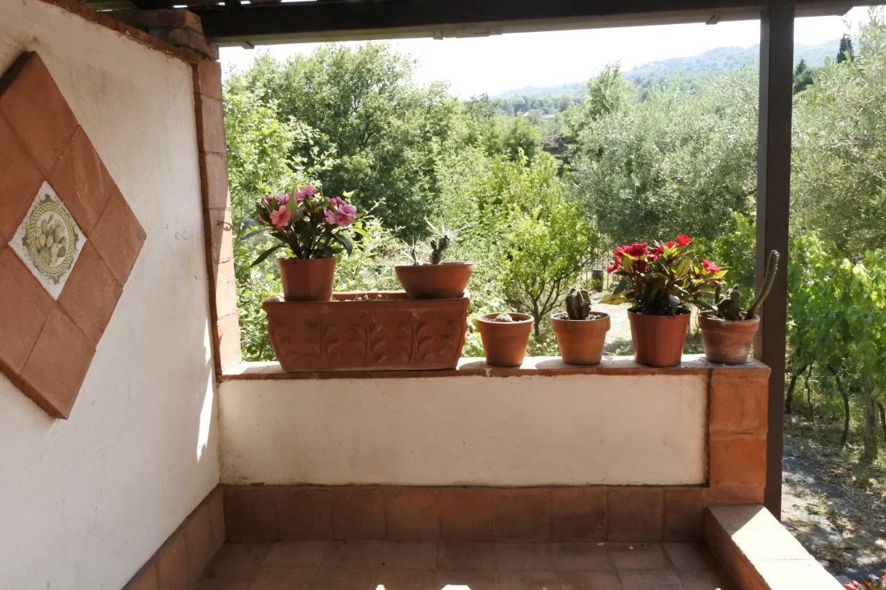 Villa Casa Vacanza Etna Evergreen à Piedimonte Etneo Extérieur photo