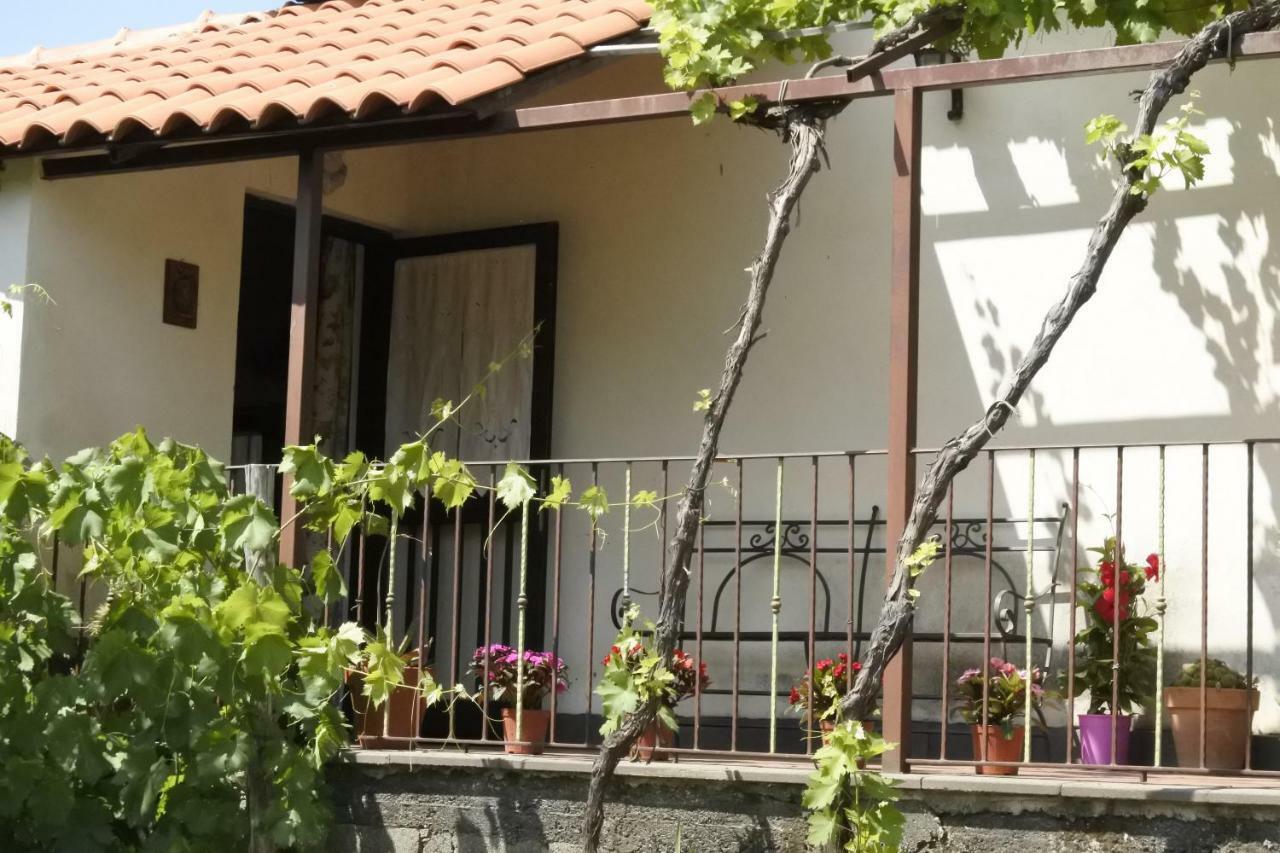 Villa Casa Vacanza Etna Evergreen à Piedimonte Etneo Extérieur photo